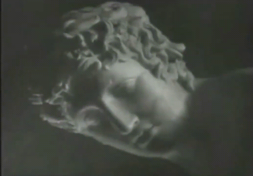 Greek Statue